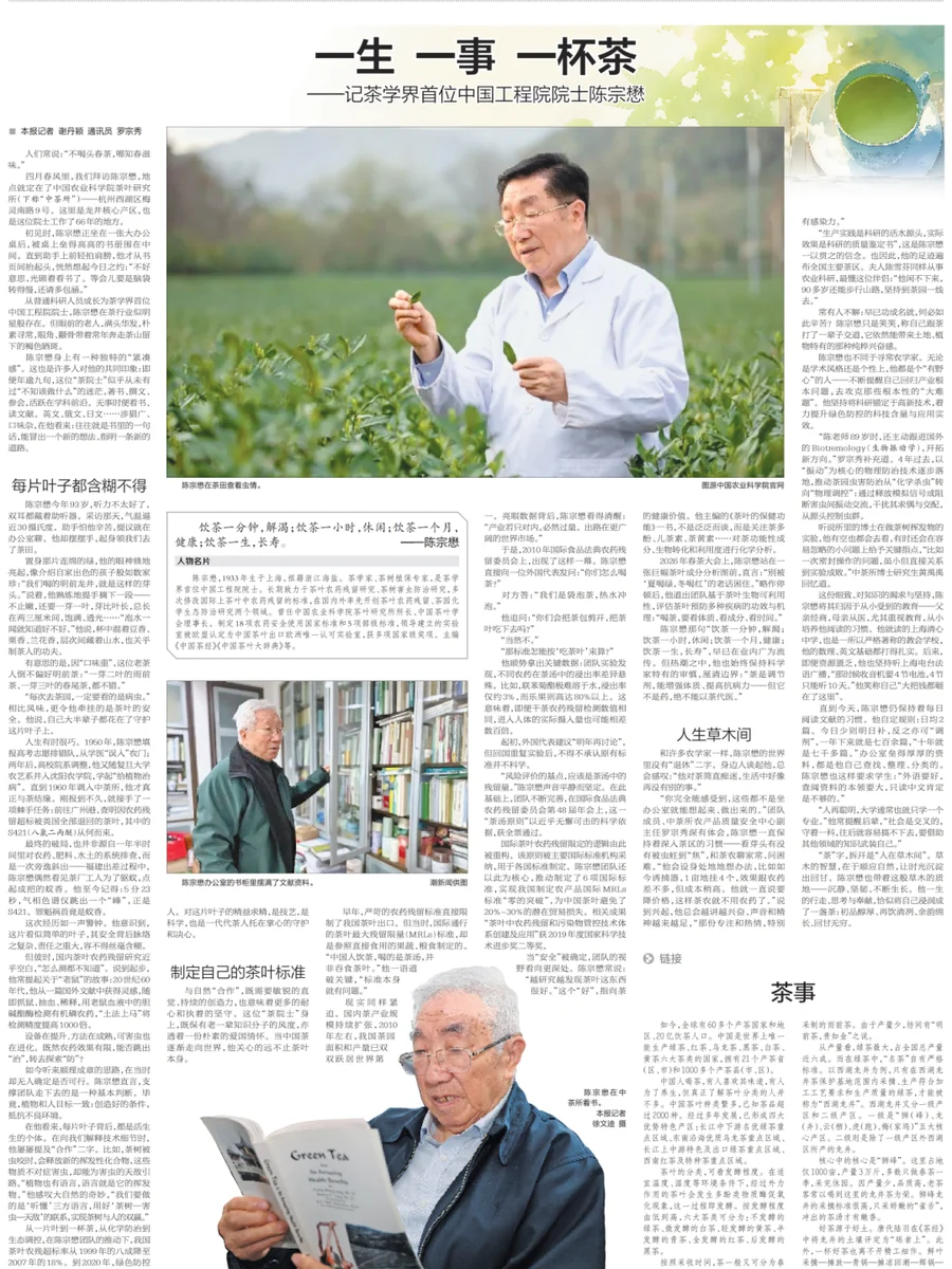 陈宗懋